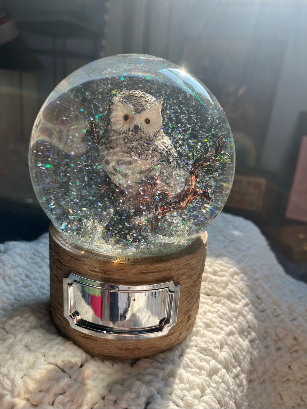 Wood Base Owl Snow Music Globe - White Owl Decor “Piano Secrets in A Major”